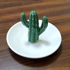 CACTUS TRAY